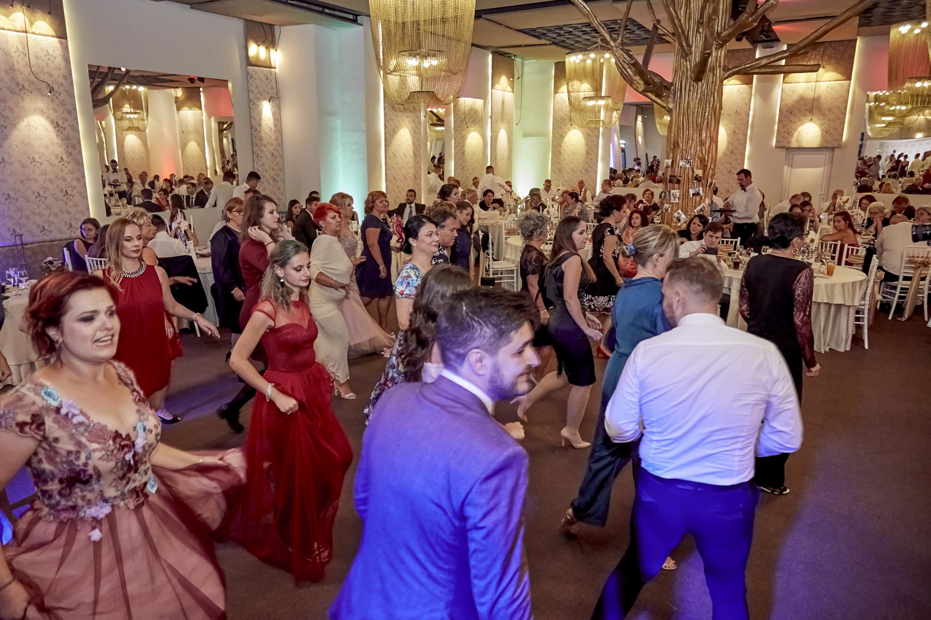 Fotograf Nunta Jubile Ballroom